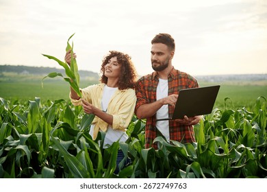 Checking the data on the laptop. Man and woman are on the corn agricultural field.
