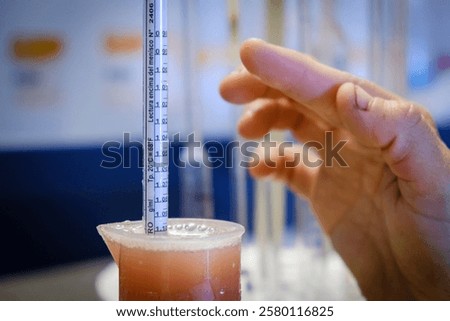Checking the density of the must, Celler Mesquida-Mora, Porreres, Mallorca, Balearic Islands, Spain