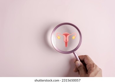 Checkup uterus reproductive system , women's health, PCOS, ovary cancer treatment and examine, Healthy feminine concept.
