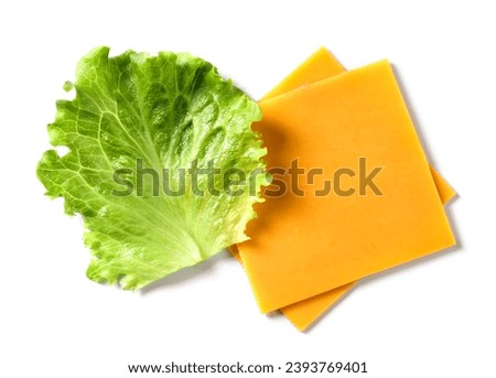 cheddar cheese slices and lettuce isolated onwhite background, top view