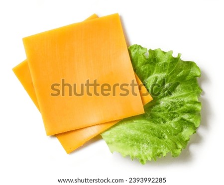 cheddar cheese slices and lettuce isolated onwhite background, top view