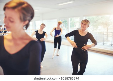 60,266 Ballet adult Images, Stock Photos & Vectors | Shutterstock