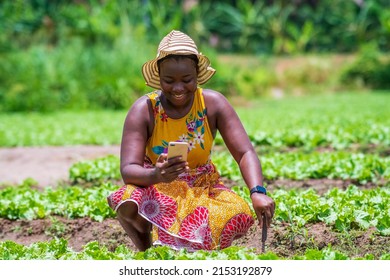 Cheerful African Female Farmer Holding Smartphone On Farm - Black Woman Working On Garden, Communicating On Mobile