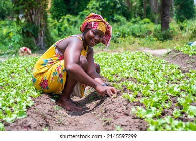 Cheerful African Female Farmer Working On Stock Photo 2145597299 ...