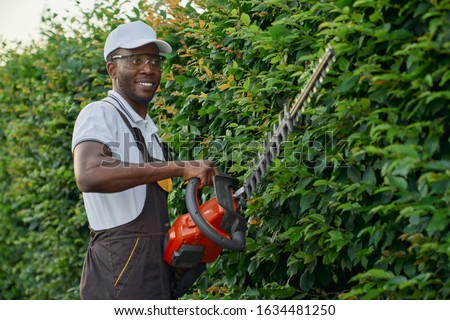 Image, Stock Photo Hedge pruned Worker air