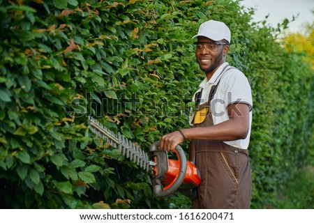 Similar – Image, Stock Photo Hedge pruned Worker air