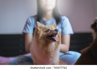 Cheerful Asian Woman Happy And Fun Playing With Her Dog At Home