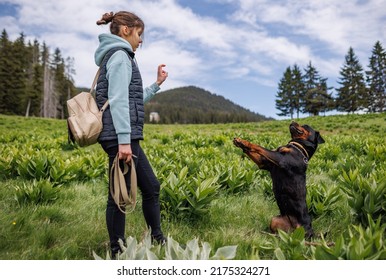 Cheerful attentive strict teenage girl in suit stands and gives commands to her big obedient trained friend dog of Rottweiler breed, on green meadow with mountain vegetation