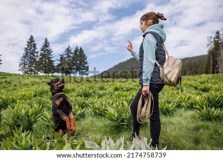 Cheerful attentive strict teenage girl in suit stands and gives commands to her big obedient trained friend dog of Rottweiler breed, on green meadow with mountain vegetation