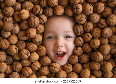 A Cheerful Candid  Laughing Child In A Pile Of Walnuts. Food Allergy To Nuts Since Childhood.