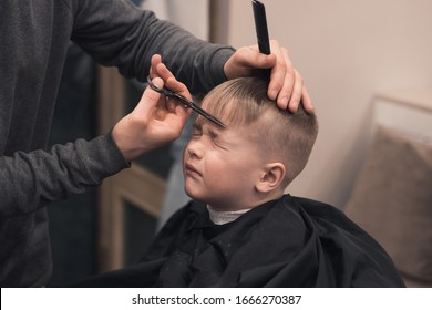 Cheerful Caucasian boy toddler happy to be on the haircut with a professional children's hairdresser. Blond little boy having a haircut at hair salon. Hairdresser's hands making hairstyle to child