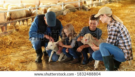Cheerful Caucasian mother and father with small happy kids - son and daughter petting lamb in stable with hay. Parents with little boy and girl caressing and stroking animal at farm. Family of farmers