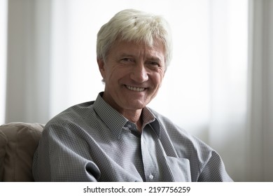 Cheerful Confident Handsome Mature Hoary Man Looking At Camera With Happy Smile, Sitting On Couch At Home, Laughing, Expressing Positive Emotion, Reaction. Video Call Headshot Portrait