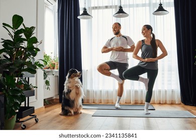 Cheerful couple standing in yoga pose on fitness mats and looking at border collie at home - Powered by Shutterstock