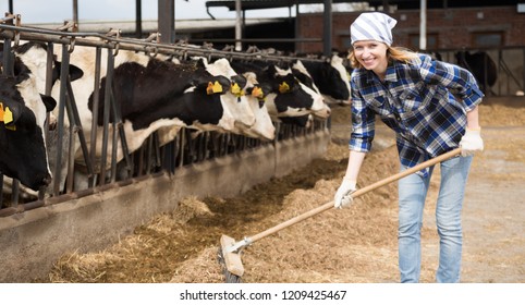 Cheerful Cowgirl Working Milking Herd Smile Stock Photo 1209425467 ...