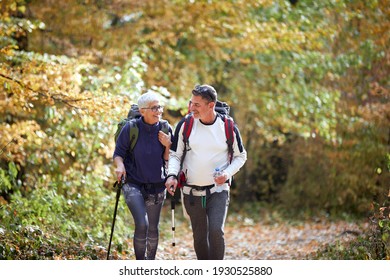 Cheerful elder couple hiking in forest