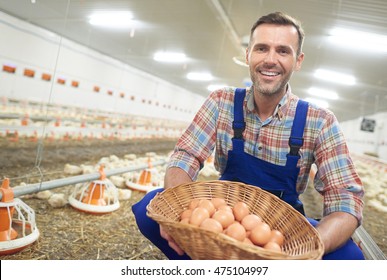 Egg Farmer Images, Stock Photos & Vectors | Shutterstock