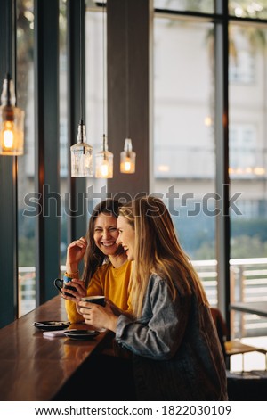 Cheerful female friends sitting together at cafe table. Smiling women meeting in a coffee shop and chatting.