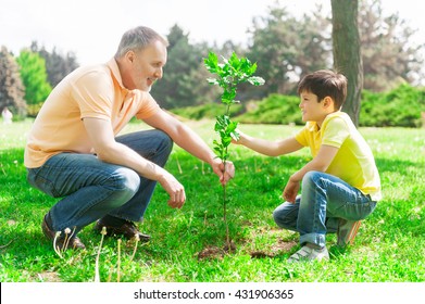 Cheerful friendly family is planting the sprout - Powered by Shutterstock