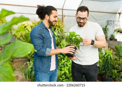 Cheerful Gay Men Smiling Buying Plants At The Green Nursery Garden While Enjoying On A Date As A Couple