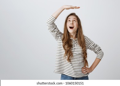 Cheerful girl dreams to become higher. Portrait of attractive playful woman raising palm above head as if measuring height, being excited and thrilled, standing against gray background