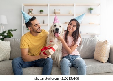 Cheerful interracial couple celebrating their pet dog's birthday, sitting on couch with gift, wearing party hats at home. Cute golden retriever having b-day celebration with owners in living room