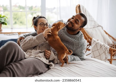 Cheerful interracial couple in sweaters playing with chihuahua dog on bed at home - Powered by Shutterstock