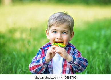 Cheerful Kid Eating Candy Park Summer Stock Photo 443491708 | Shutterstock