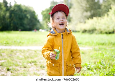 Cheerful Little Boy With A Box Of Juice Walks In The Park.