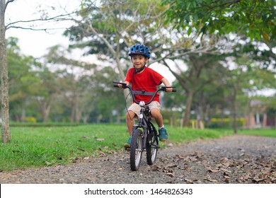 Cheerful Little Boy Riding a Bike in the Park