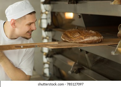 Cheerful male baker smiling while pulling out delicious fresh bread out of oven at his kitchen bakery food healthy natural professionalism manufacturing cooking occupation job working worker positive - Powered by Shutterstock