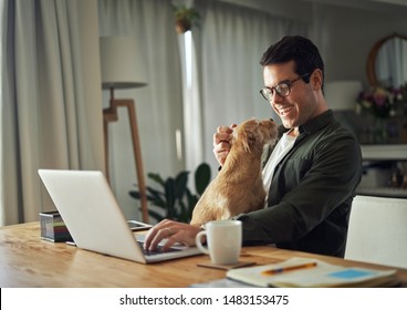 Cheerful Man Playing With Dog While Using Laptop