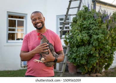 Cheerful Mature Black Man Holding Hen And Looking At Camera. Portrait Of Happy African American Farmer Holding A Brown Hen Outdoor. Smiling Mature Man With Chicken In Hand With Copy Space.
