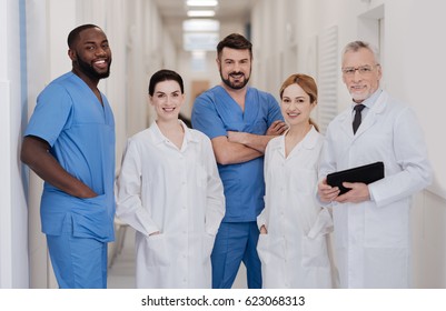 Cheerful Medical Team Working In Cooperation In The Hospital