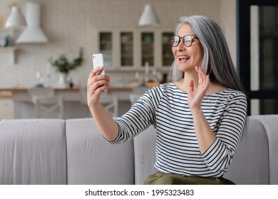 Cheerful middle-aged woman mother freelancer having video call conference meeting on smart phone online, medical doctor's appointment. Remote job, working from home