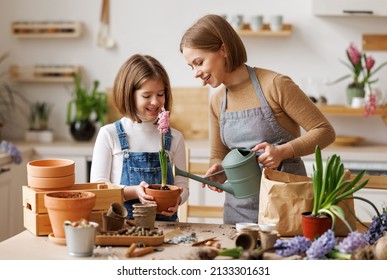 Cheerful Mom In Casual Clothes Smiling With Kid Daughter While Watering Potted Hyacinth Together On Messy Table In Light Kitchen At Home