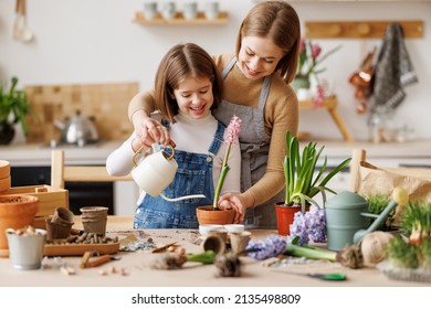 Cheerful Mom In Casual Clothes Smiling With Kid Daughter While Watering Potted Hyacinth Together On Messy Table In Light Kitchen At Home