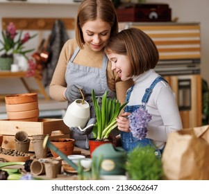 Cheerful Mom In Casual Clothes Smiling With Kid Daughter While Watering Potted Hyacinth Together On Messy Table In Light Kitchen At Home