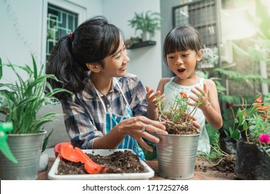 cheerful mother and daugther while planting in the garden at home