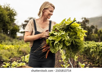 Cheerful organic farmer holding freshly picked vegetables in an agricultural field. Self-sustainable young woman gathering fresh green produce in her garden during harvest season. - Powered by Shutterstock