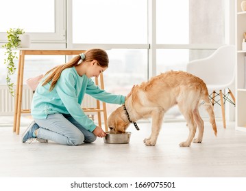 Cheerful owner feeding cute dog in light room