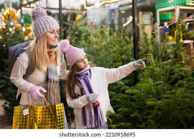 Cheerful preteen girl with mother selecting Christmas tree on outdoor fair
