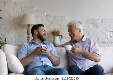 Cheerful senior grey haired 70s dad and adult grownup son drinking tea, talking, discussing family life, relatives, laughing, joking, having fun, enjoying friendship, leisure time, coffee break