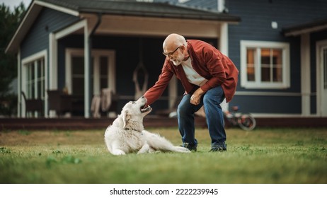 Cheerful Senior Man Enjoying Time Outside with a Pet Dog, Petting a Playful White Golden Retriever. Happy Adult Man Enjoying Leisure Time on a Front Yard in Front of the House. - Powered by Shutterstock