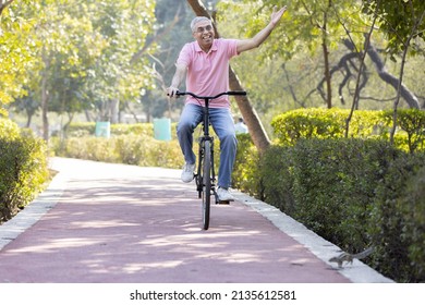 Cheerful senior man having fun riding bicycle at park
