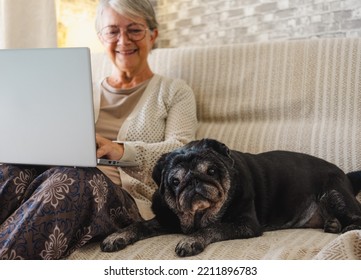 Cheerful Senior Woman In Casual Clothing Browsing On Laptop Spending Time With Her Old Pug Dog While Sitting On The Sofa At Home