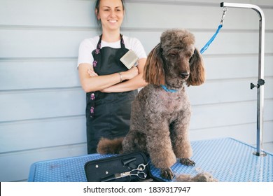 Cheerful Smiling Professional Female Groomer Looking On Cute Brown Poodle Dog After Haircutting. Animal Hair Cut In Pet Care Salon. Small Business Concept. 