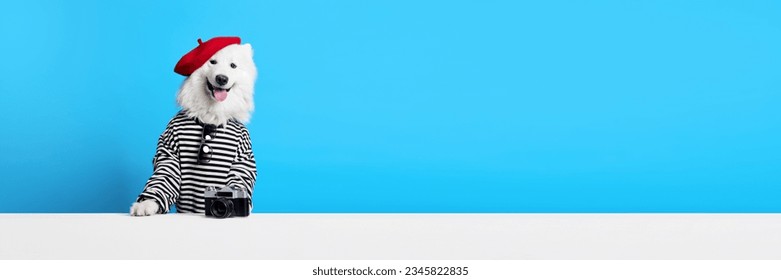 Cheerful, smiling, purebred Samoyed dog in stripes hurt and red beret against blue studio background. Concept of animals, pets fashion, style, fun and humor, vet. Copy space for ad. Banner - Shutterstock ID 2345822835