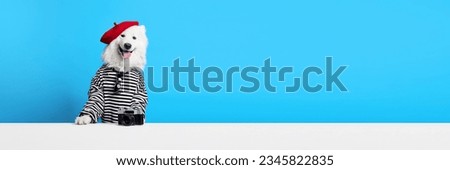 Cheerful, smiling, purebred Samoyed dog in stripes hurt and red beret against blue studio background. Concept of animals, pets fashion, style, fun and humor, vet. Copy space for ad. Banner