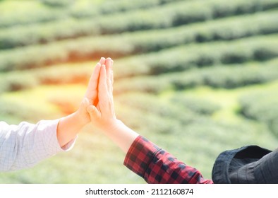 Cheerful successful coworkers colleagues businessman and businesswoman giving high five celebrating project victory in at tea plantation in Chiangmai of Thailand. Business corporate concept.  - Shutterstock ID 2112160874